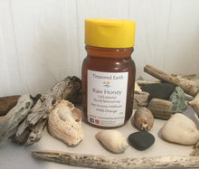 Flavour Infused Raw Honey 500g Squeeze bottle