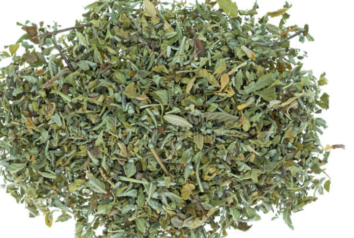 Damiana