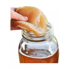 Kombucha Scoby (Starter Culture) 1 serve