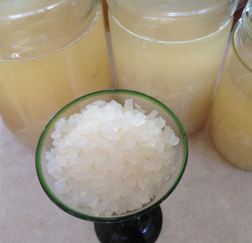 Water Kefir Grains - 3 tablespoons